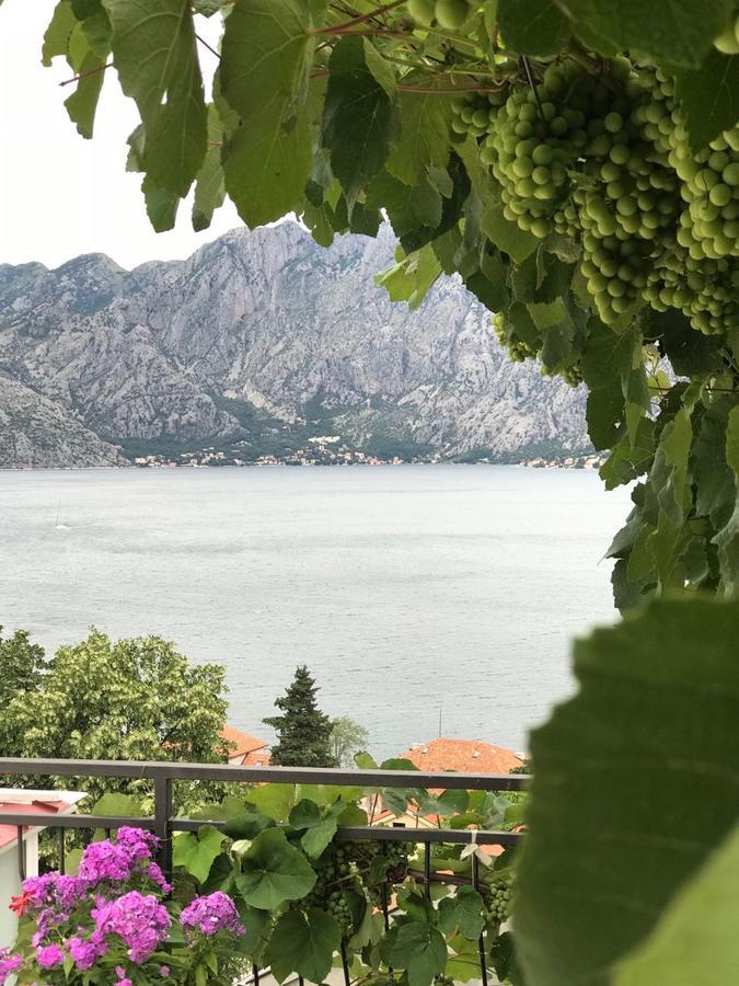 Vasko & Jana Appartement Kotor Buitenkant foto